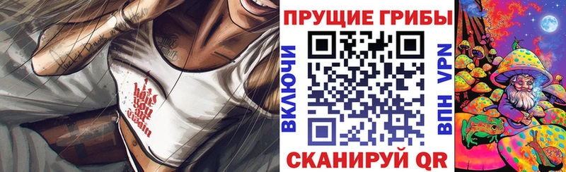 Галлюциногенные грибы Psilocybine cubensis  Баймак 